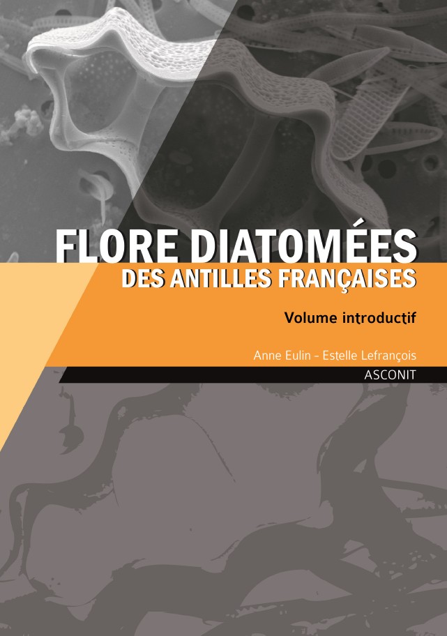 Flore diatomées des Antilles françaises - Volume introductif